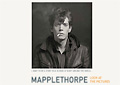 MAPPLETHORPE: LOOK AT THE PICTURES